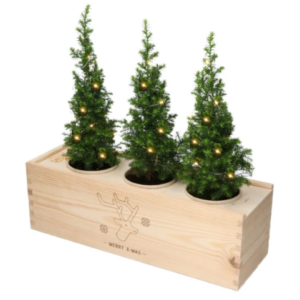 Verlichte kerstboompjes A