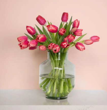 Tulpenpost-XL-tulpen-30-stuks-1-3-kleuren-versturen-pakketzenden